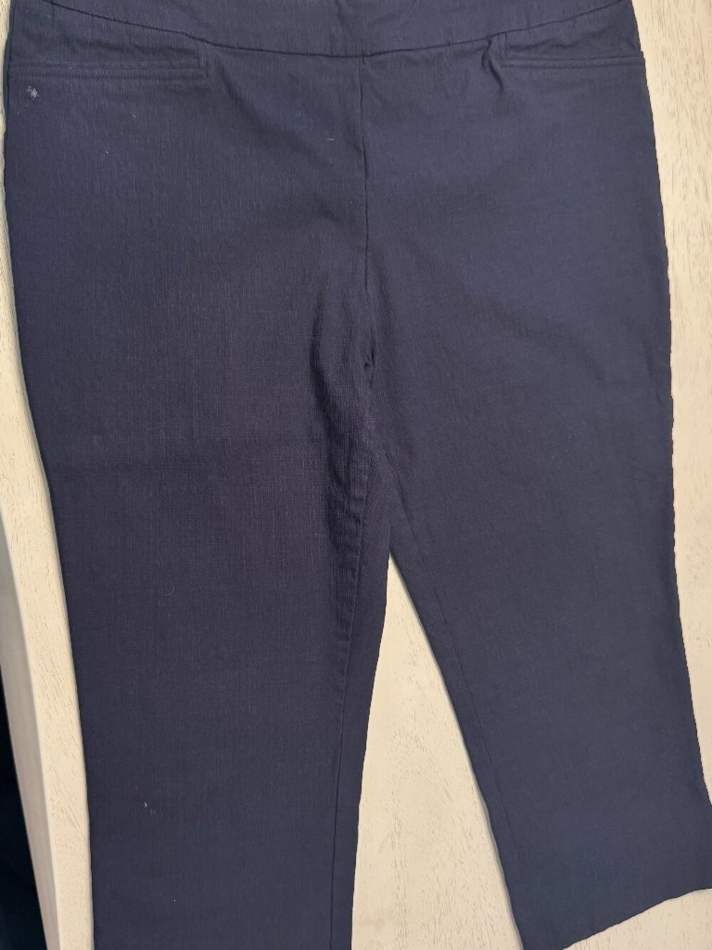 Hilary Radley Black Stretchy Crop Pants, Size XL